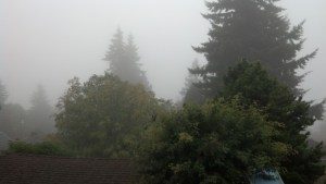 IMG_20131021_094052_220